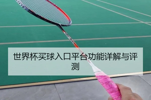 世界杯买球入口平台功能详解与评测