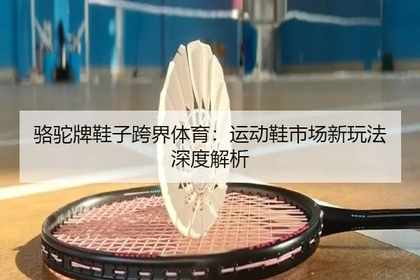 骆驼牌鞋子跨界体育：运动鞋市场新玩法深度解析